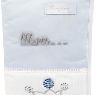 Carnet_Sante_PrinceBleu[1]